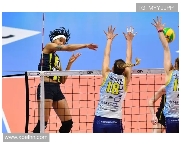 深度对话黄芳探讨排球人生与欧冠足球的精彩交汇