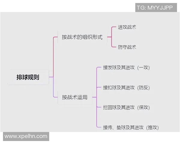体育实时数据西安排球队的节奏革新探索与实践：重塑现代足球的战术理念与发展方向