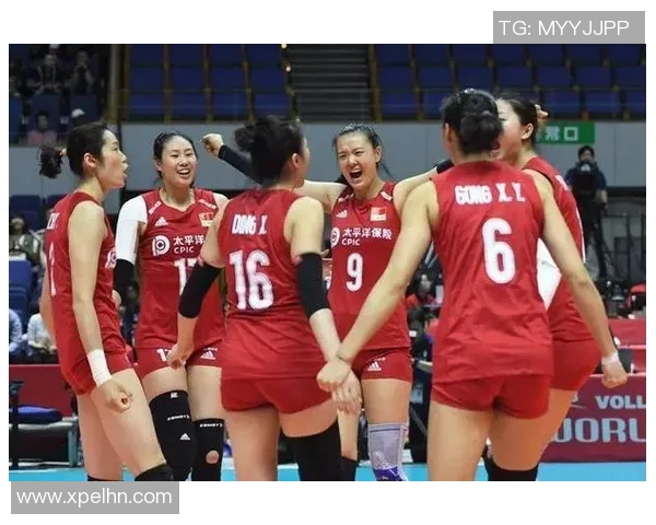 运动数据南京排球队个人能力排行榜分析他们为何位列第八名的原因探讨