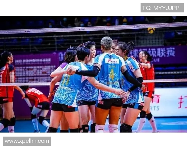 今年运动数据重庆排球队实力分析与表现评估全面解读